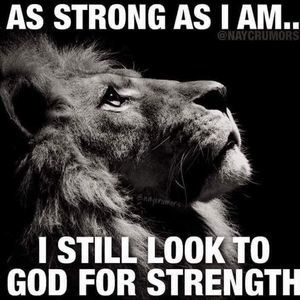 Meet your Posher, Lee